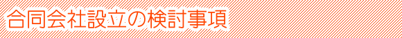 合同会社設立の検討事項
