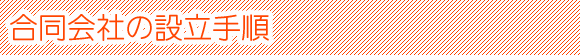 合同会社設立の検討事項